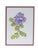 Paper Original Botanical Flower Watercolor Painting Framed and Signed For Sale - Image 7 of 12