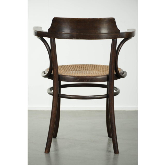 Vintage Webbing Armchair in Curved Wood For Sale - Image 4 of 13