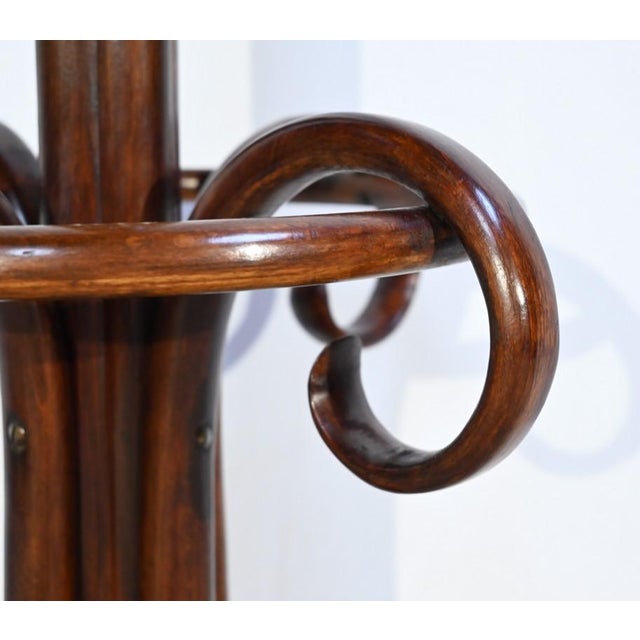 Model Parrot N ° 10.401 Coat Rack in Beech from Thonet, 1920s For Sale - Image 14 of 18