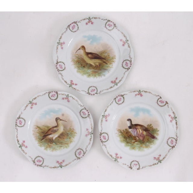 Ceramic Vintage Bavarian Pheasant Plates, Set of 3 For Sale - Image 7 of 7