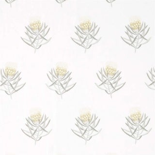 Sanderson Protea Flower Fabric in Daffodil/Natural For Sale