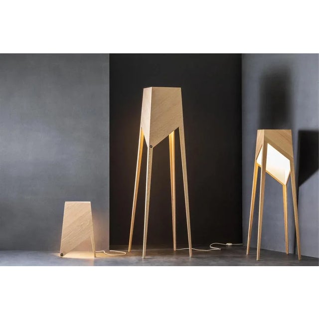 Black Black Oak Luise Floor Lamp by Matthias Scherzinger For Sale - Image 8 of 12