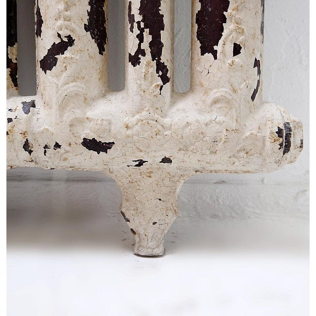 Victorian Cast Iron Radiator with Leafy Branches and Flowers, 1890s For Sale - Image 7 of 16