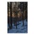 Winter Woods by Kathleen Kolb For Sale