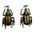 Pair of Vintage Victorian Revival Solid Brass Beetle Cabinet Knobs Hardware For Sale