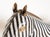 Rare XL Vintage Chinese Cloisonné Enameled Zebra Statue For Sale - Image 10 of 15