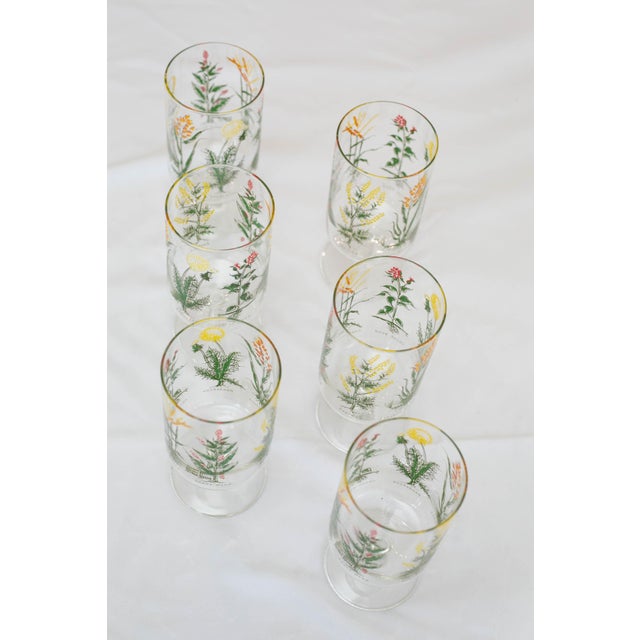 1970s Vintage Neiman Marcus “Weed & Wildflower” Botanical Stem Glasses - Set of 6 For Sale - Image 5 of 13