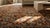 Rare Brown Ground Color Captivating Tribal All Over Design Antique 19th Century Persian Ziegler Sultanabad Carpet For Sale - Image 14 of 15