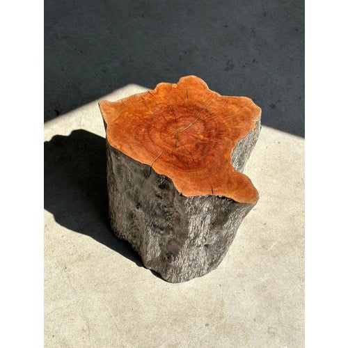 Set of Lychee Stools Forming a Coffee Table For Sale - Image 4 of 18