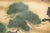 "Big Pine Tree", 1970s Shōwa Era Japanese Maki-E Byobu Screen For Sale - Image 10 of 18