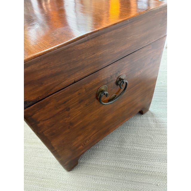 20th Century Asian Blanket Chest For Sale - Image 9 of 12