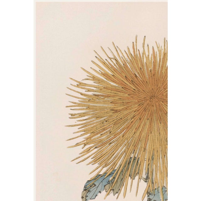 A refined example of late 19th-century Japanese botanical illustration, this vintage Japanese botanical art print...