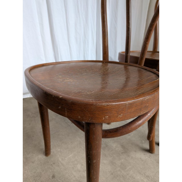 Vintage Carved Bentwood Farmhouse Dining Chairs, 1970s, Set of 3 For Sale - Image 11 of 18