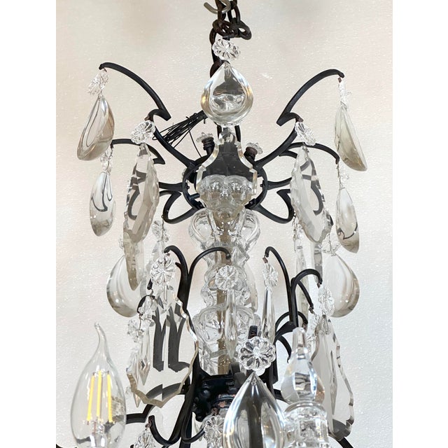 Mid 20th Century Restored Louis XV Blackened Bronze Crystal Cage Chandelier For Sale - Image 4 of 9