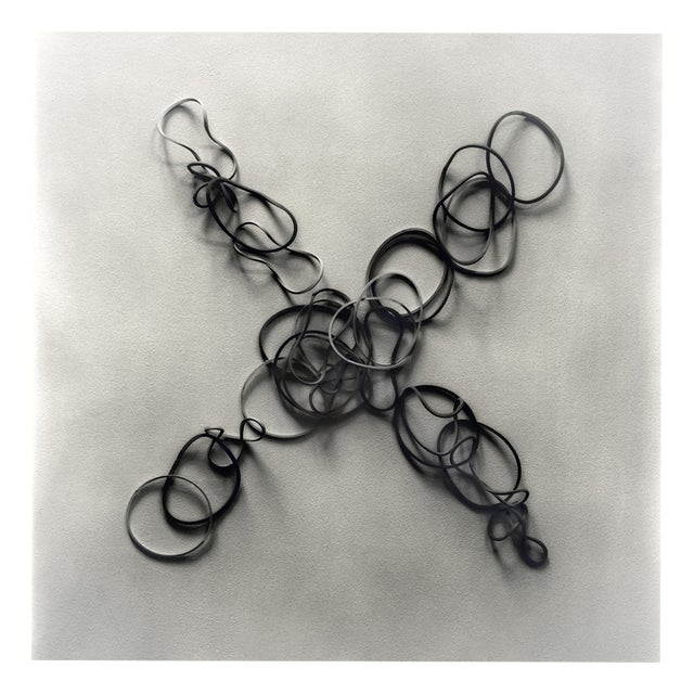 Ugne Pouwell, Divided, 2026, Still Life Black and White Photography, Limited Edition of 10 For Sale
