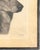 Limited Edition Bert Cobb Signed Drypoint Etching German Shepherd Luchs 33 of 75 For Sale - Image 10 of 12