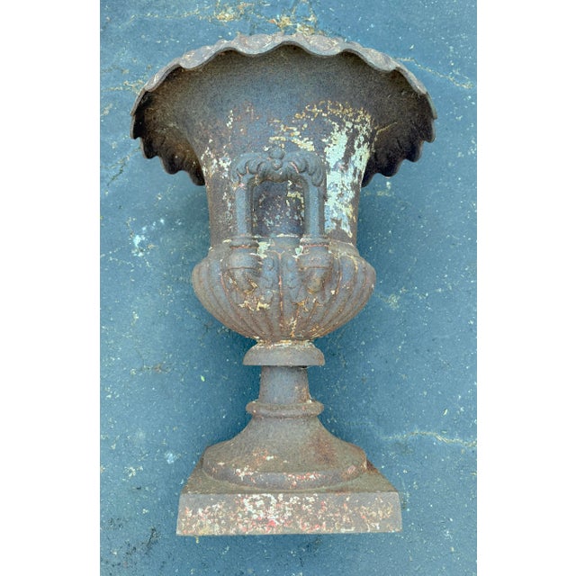 Brown Huge Antique Late Victorian French Heavy Cast Iron Outdoor Planter Urn W/ Handle For Sale - Image 8 of 17