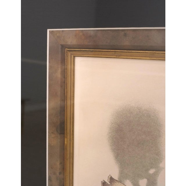 Cream Matted & Framed Colored Print For Sale - Image 8 of 8