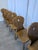 1970s Vintage Tyrolean Heart Cutout Wooden Dining Chairs, 1970s, Set of 6 For Sale - Image 5 of 18