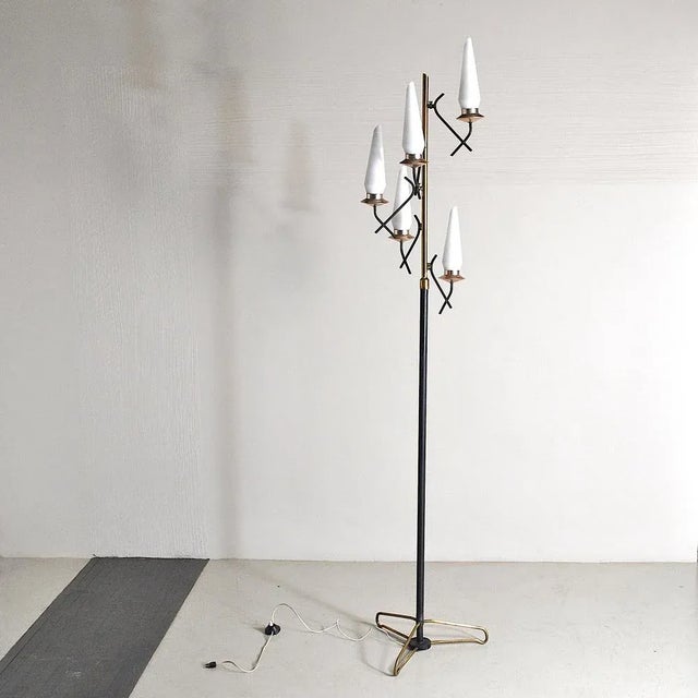 Black Opaline Glass & Brass Floor Lamp by Stilnovo, 1950s For Sale - Image 8 of 12