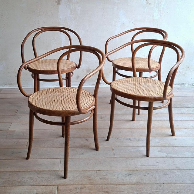 No. 209 Armchairs in Bentwood and Rattan from Ligna, 1970s, Set of 4 For Sale - Image 3 of 13