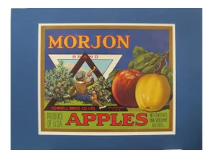 1940s American Apple Fruit Crate Label, Morjon
