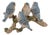 Blue Birds on Branch Figurine 11"L For Sale