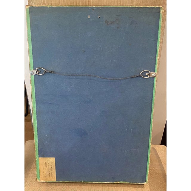 Collection of 5 19th Century Beetles in Shadow Boxes For Sale - Image 10 of 12