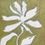 2020s Original Botanical Diptych — Magnolia & Lotus, Oil on Canvas in Gold Bamboo Frames, 11" X 14" Each, by Tatiana Duperault For Sale - Image 5 of 5