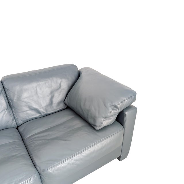 Animal Skin Vintage DS 17 Two-Seater Sofa in Leather from de Sede For Sale - Image 7 of 11