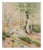 Trees - Original Watercolor - 1950s 1950s For Sale