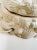 Vintage Pair of White Ceramic Coastal Conch Shell Lamps For Sale - Image 6 of 12