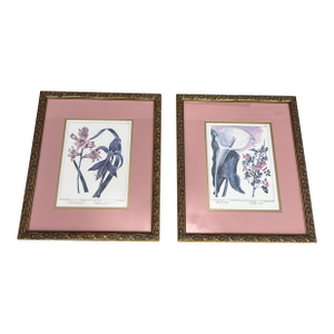 Late 20th Century Vintage Framed Botanical Prints- Set of 2