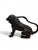 Black Bronze Seated Lion Sculpture, 19th Century For Sale - Image 8 of 10