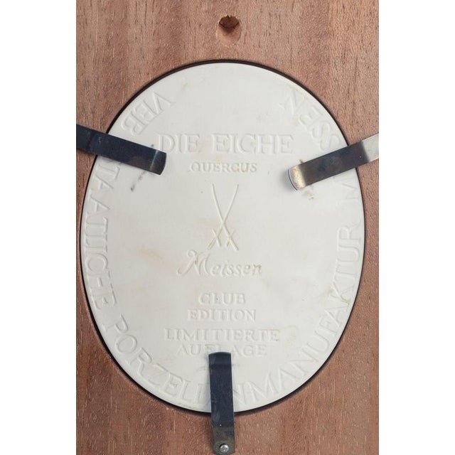 Relief Plaque in White Biscuit Porcelain with Motif of Tree from Meissen, 1970s For Sale - Image 3 of 5