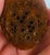 Hand Carved Coquilla Nut Box, 19th Century For Sale - Image 4 of 7