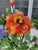 Asian Vintage Asian Glass Arrangement For Sale - Image 3 of 11