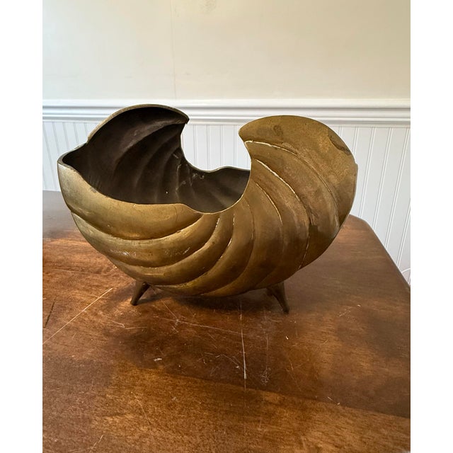 Hair Brass Nautilus Shell For Sale - Image 12 of 12