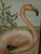 Emrik & Binger, The Avian Collection, 1880, Chromolithograph For Sale - Image 6 of 13