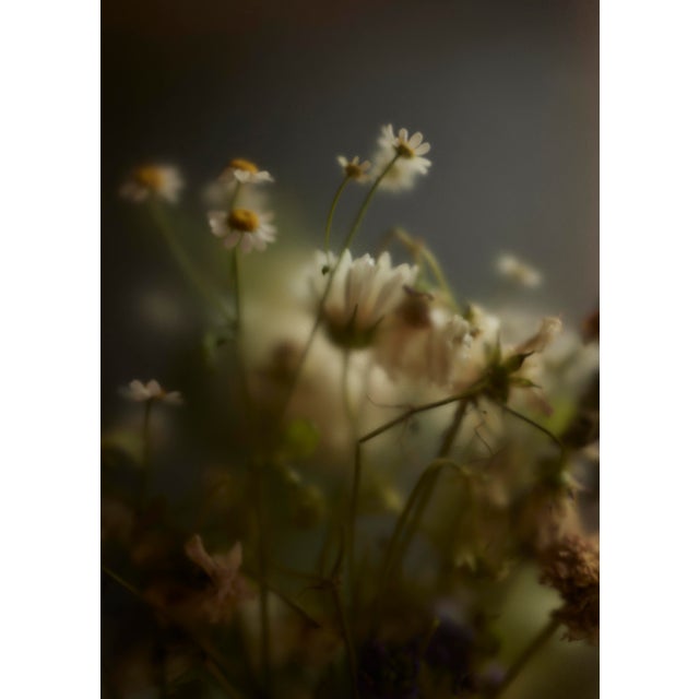 "Elysian" Photograph Print by Erin Derby For Sale