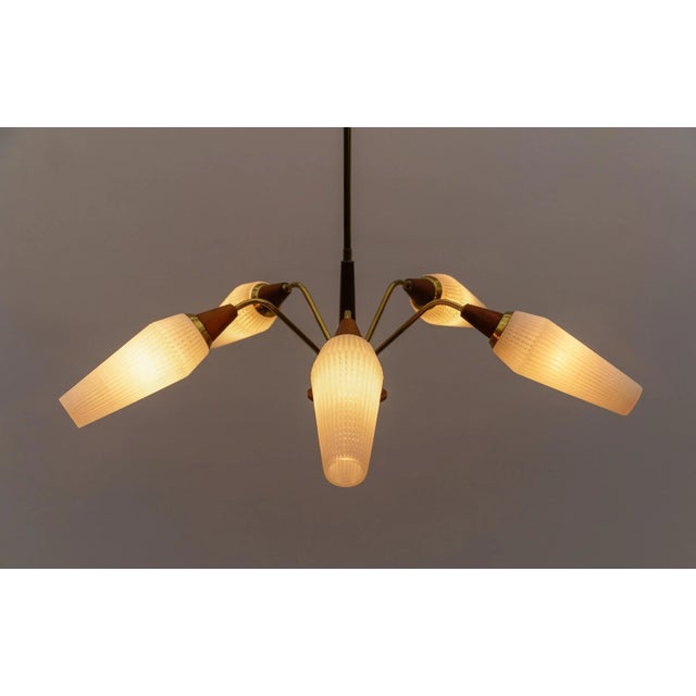 Brown Sputnik Pendant Lamp in Teak and Glass, 1950s For Sale - Image 8 of 13