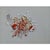 Contemporary # 'Flower' #3 - High-End Framed Cy Twombly Style Minimalist Botanic Oil on Canvas For Sale - Image 3 of 10