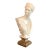 Neoclassical Bust of Dianna, Goddess of the Hunt For Sale