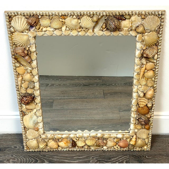 Mid 20th Century 1960s Coastal Bohemian Specimen Shell Encrusted Mirror with Tiger Cowries For Sale - Image 5 of 14