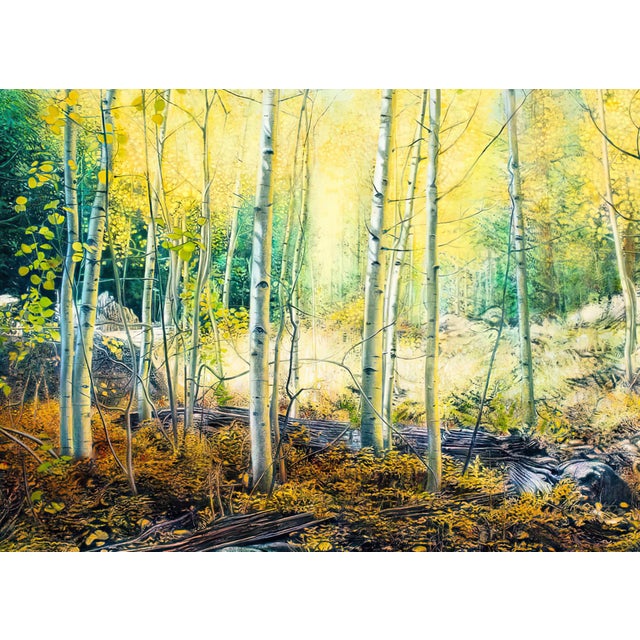 Enchanted Light by Thane Gorek | Gouache and Oil on Canvas Landscape of golden aspen trees For Sale - Image 4 of 4