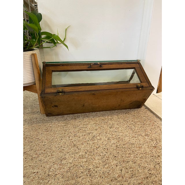 Early 20th Century Antique Alfred Noack Oak and Glass Countertop Display Case With Brass Hardware, Oakland California Maker For Sale - Image 5 of 10