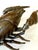 Large Japanese Bronze Lobster Okimono Meiji Period For Sale - Image 12 of 12