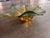Bottle Green Vintage Murano Blown Glass - Green and Yellow Leaf Bowl For Sale - Image 8 of 9