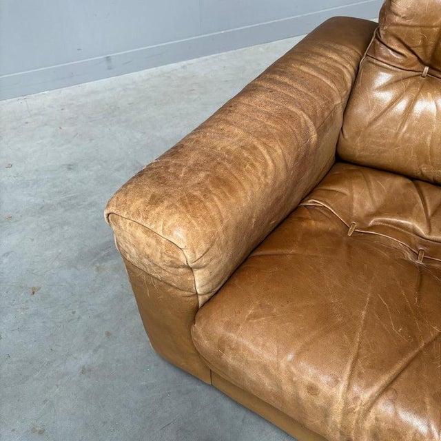 DS40 Lounge Chair by Robert Haussmann for De Sede, 1970s For Sale - Image 9 of 14