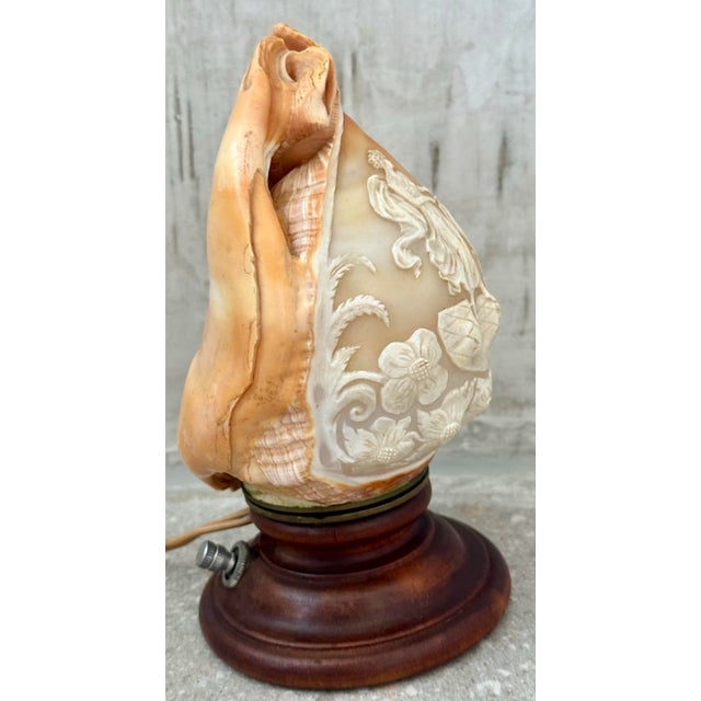 Wood Antique Italian Cameo Relief Hand-Carved Sea Conch Shell, Nautical Coastal Decor For Sale - Image 7 of 12